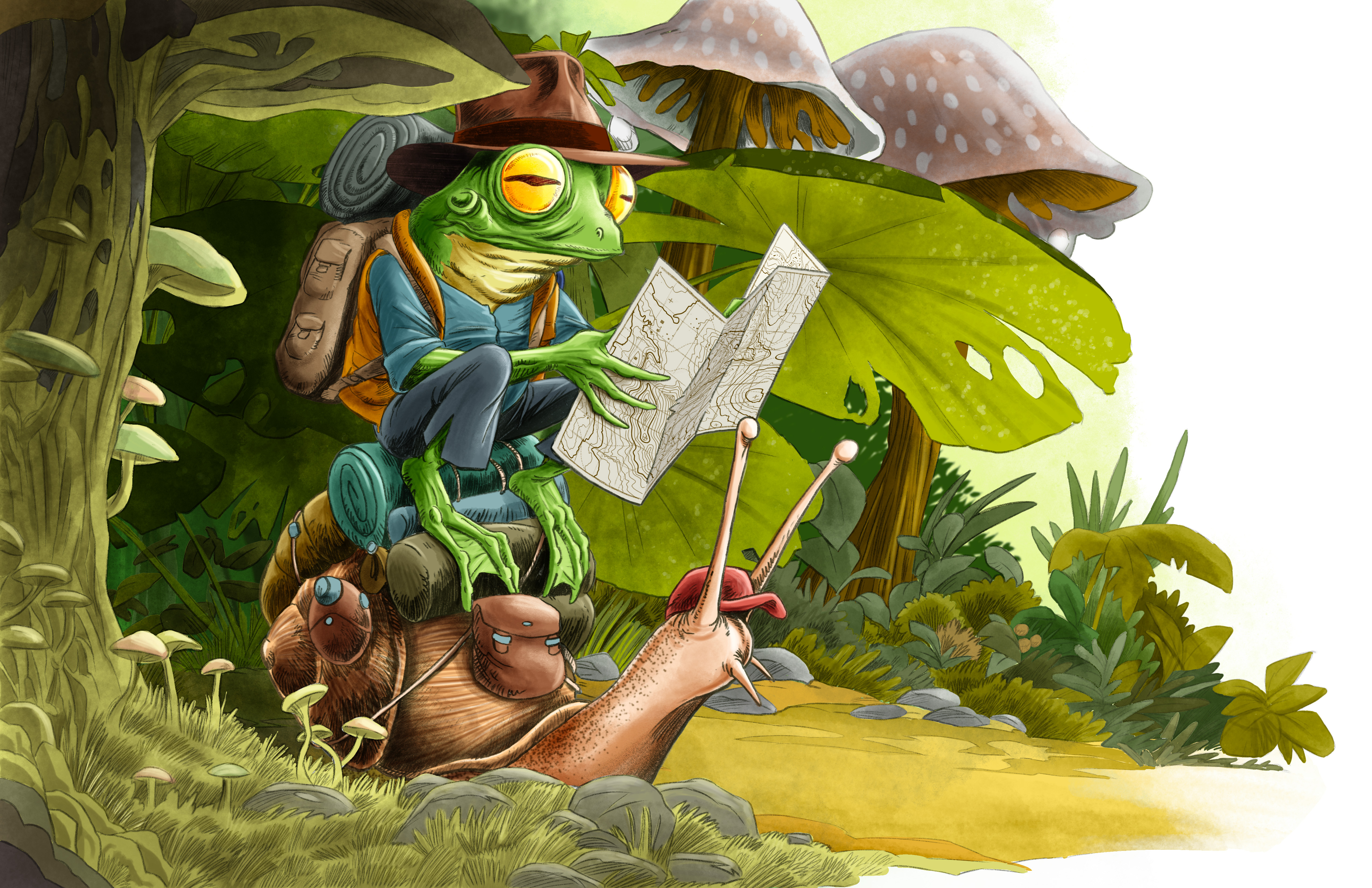 Frog and Snail on a journey